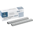Agrafes standard Chisel Point - Boîte de 5000 (65649), Argent
