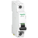 Schneider Electric Solar 10A DC MCB monopole (A9N61508)
